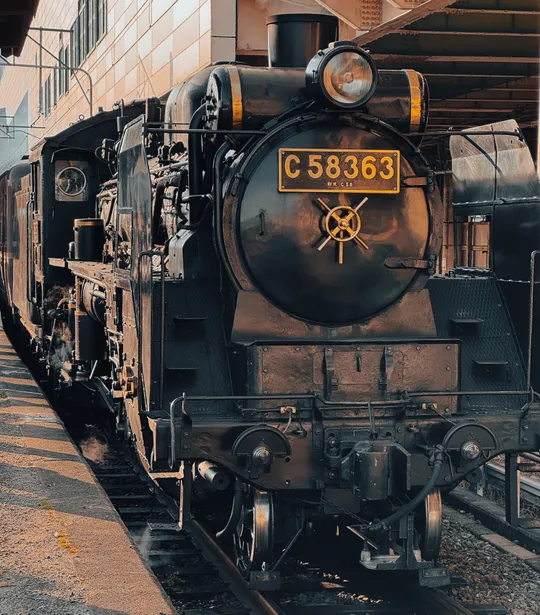 시고하치의 얼굴